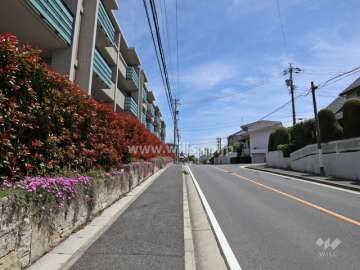 敷地の南側前面道路(西側から)