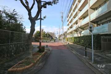 敷地南東側の前面道路（北東側から）