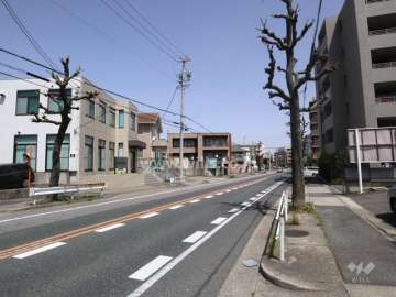敷地西側の前面道路（北側から）
