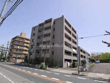 星ヶ丘ヒルズの外観（南西側から）