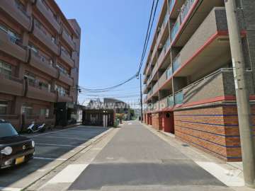 敷地の南側前面道路（東側から）