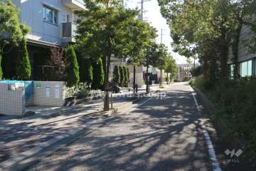 敷地西側の前面道路