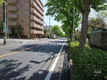 南側前面道路(西側から)