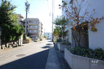敷地東側の前面道路