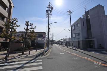 物件の西側前面道路（北側から）