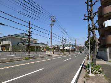 敷地西側の前面道路