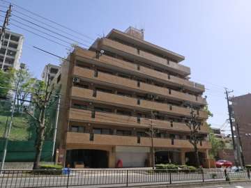 ロイヤルシャトー虹ヶ丘の外観（南西側から）