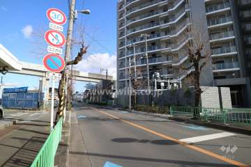敷地東側の前面道路