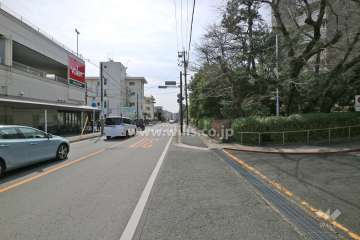 敷地の東側前面道路（北側から）