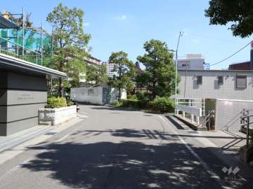 敷地南側の前面道路（西側から）