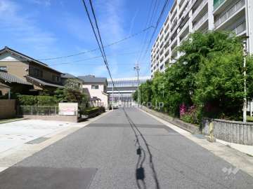 敷地の南側前面道路（東側から）