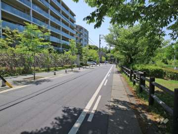 ヴィアーレ星ヶ丘の森の西側前面道路(北側から撮影)