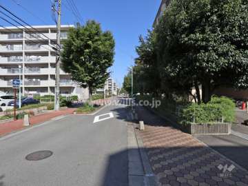 敷地西側前面道路