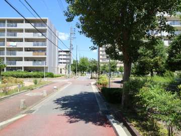 敷地の西側前面道路（南側から）