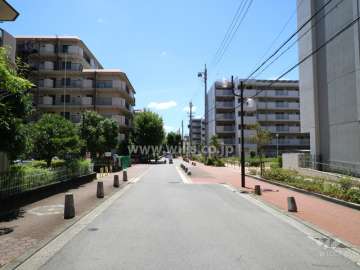 敷地の西側前面道路（北側から）