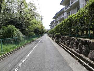敷地東側の前面道路（北側から）