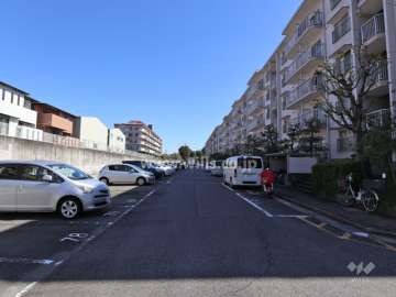 敷地の北側前面道路（西側から）