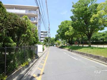 敷地東側の前面道路（南側から）