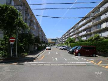 敷地北側の前面道路（東側から）