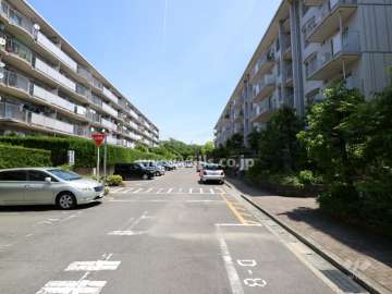 敷地北側の前面道路（西側から）