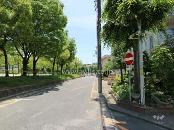 敷地東側の前面道路（北側から）