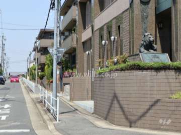 敷地西側の前面道路