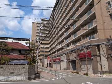 敷地西側の前面道路。低層階には店舗が入っています。