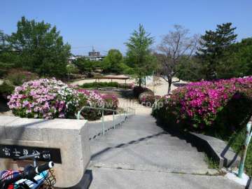 富士見公園