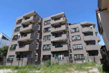 フローレンス・パレ