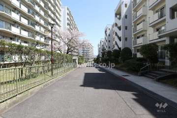 敷地内通路