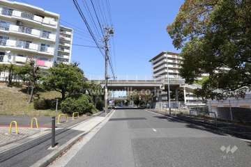 敷地の西側前面道路（南側から）