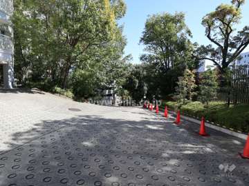 月見ケ丘マンションD棟の南側車道（西側から）