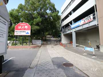 敷地に続く道