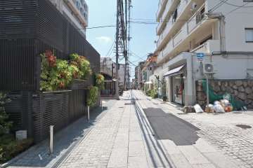 敷地北側の前面道路（西側から）