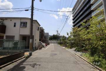 敷地南側の前面道路。ゆったりとした道幅です