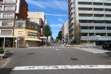 敷地西側の前面道路（南側から）