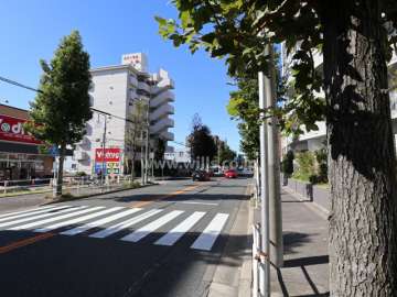 敷地南側の前面道路