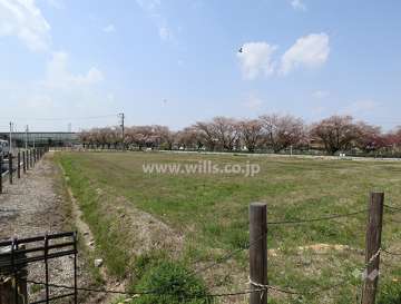 マンション敷地西側は空き地です。