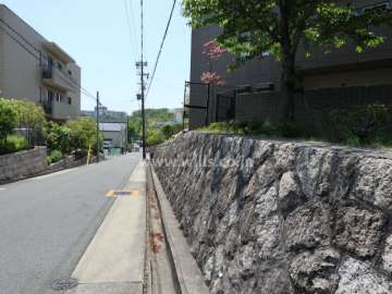 敷地東側の前面道路