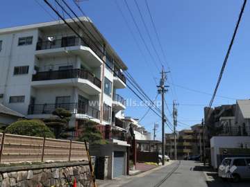 本郷ハイツの正面道路