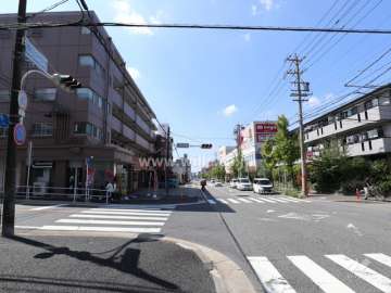 敷地の北側前面道路（東側から）