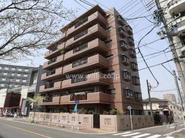 三井農林吹上ハイツの外観(南東側から)