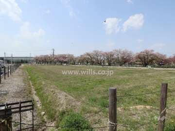 マンション敷地西側は空き地です。