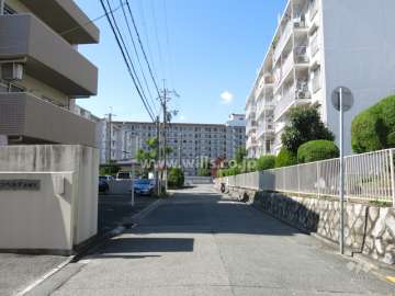 敷地北側の前面道路