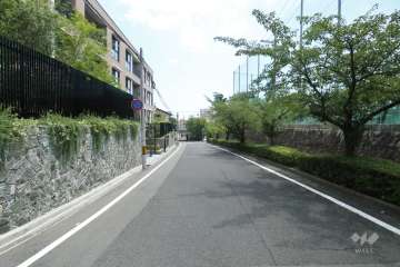 敷地の前面道路（北側から）