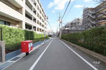 敷地南側の前面道路（西側から）