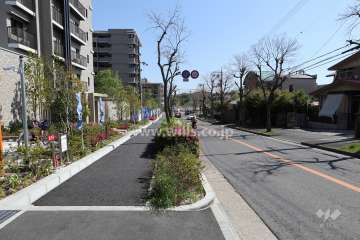 敷地西側の前面道路