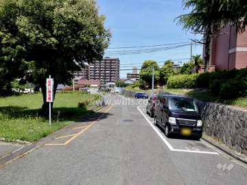 敷地の西側前面道路（南側から）