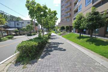 敷地の南東側前面道路（東側から）