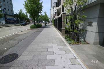 敷地の西側前面道路（南側から）